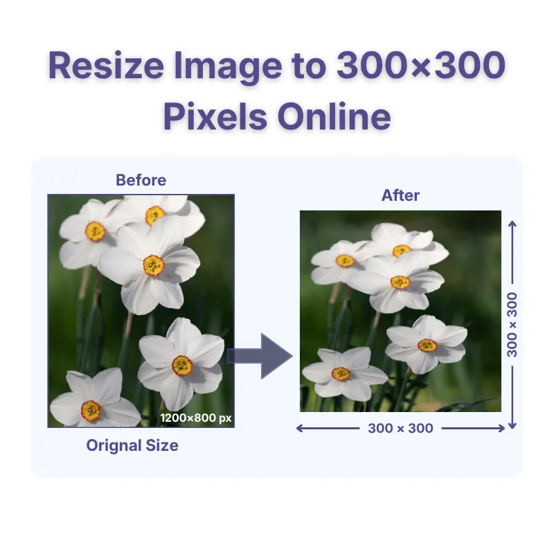 Image resizing to 300x300 pixels